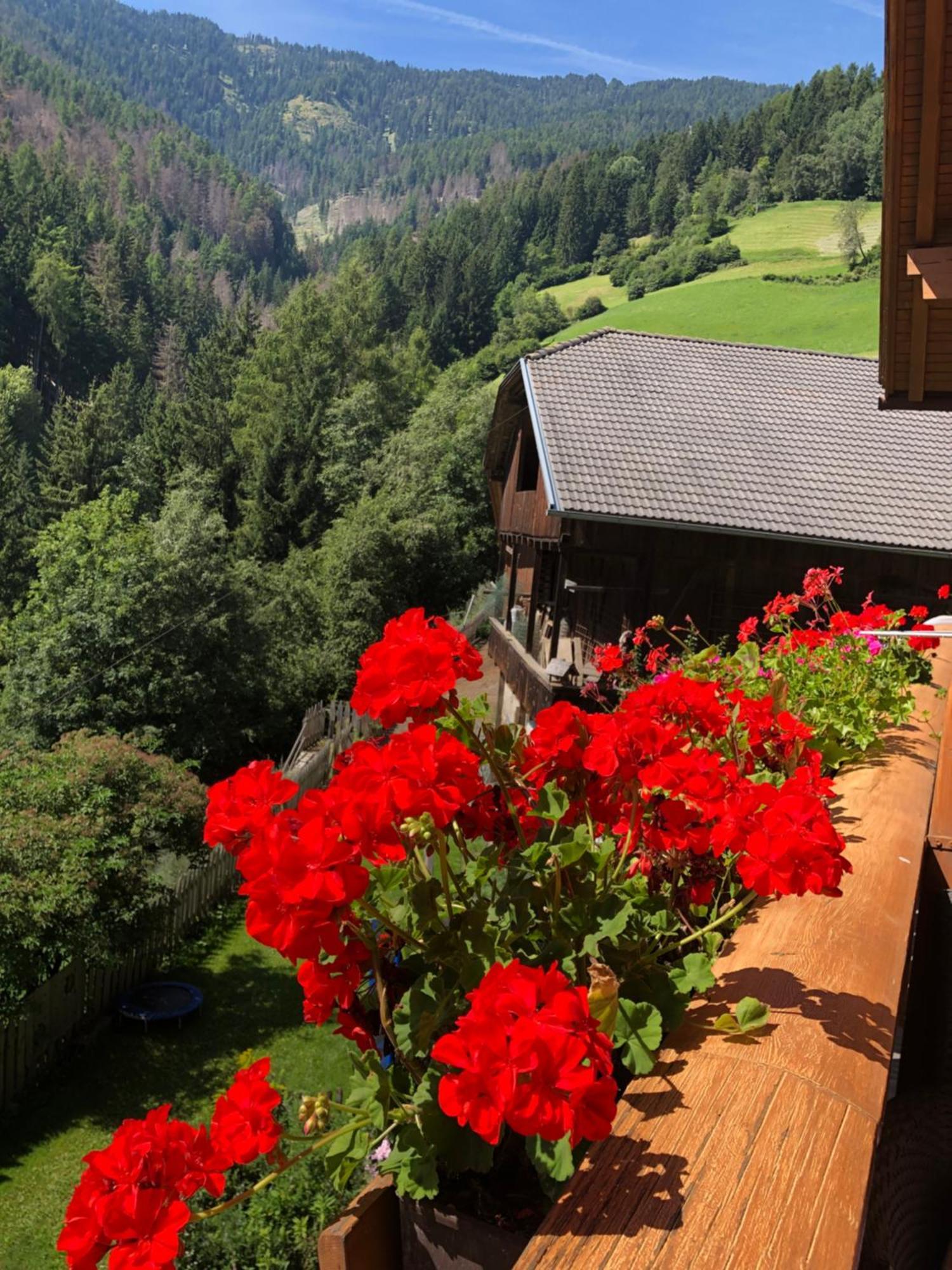 Thalerhof Apartment San Lorenzo di Sebato Bagian luar foto