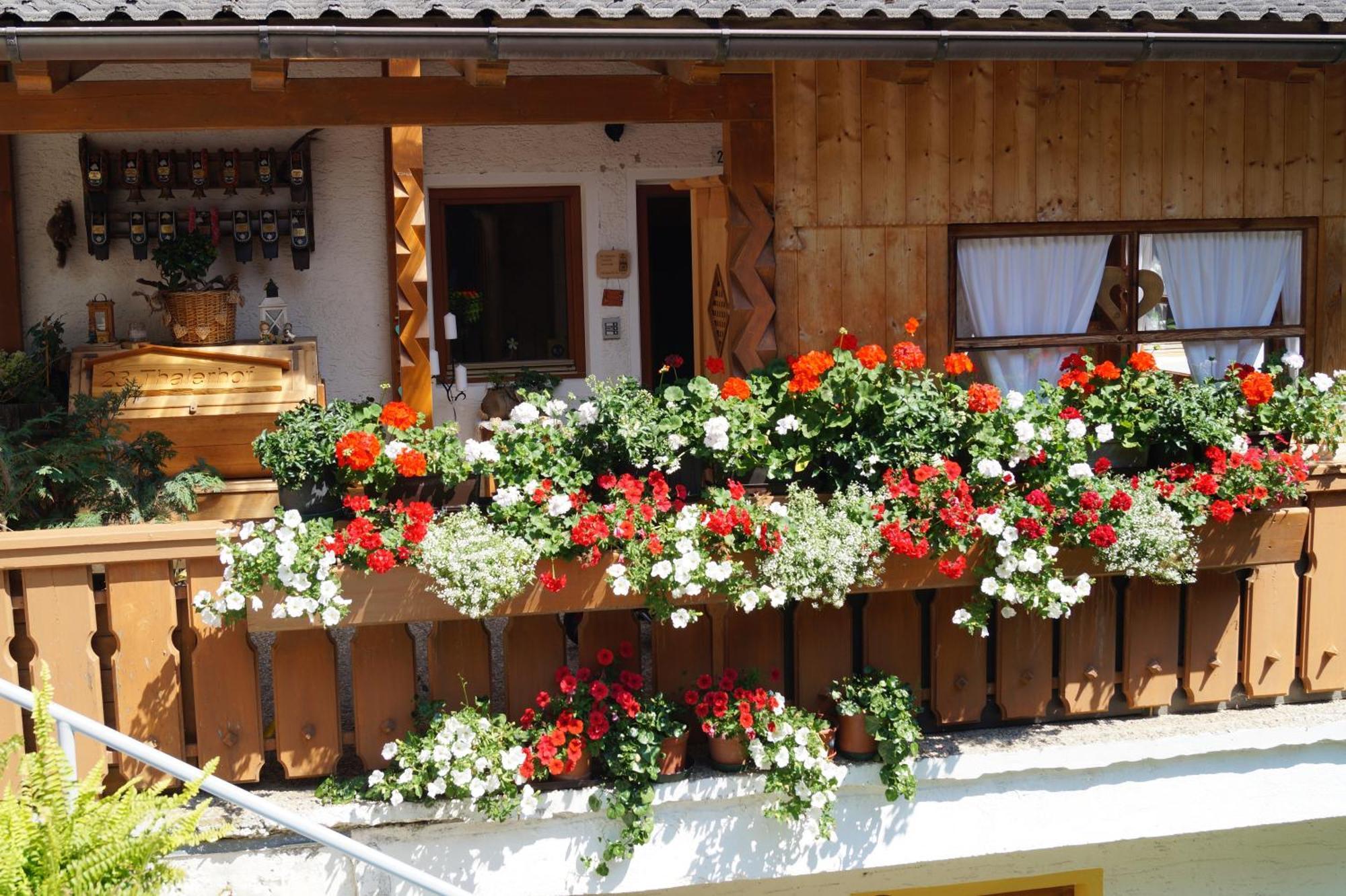 Thalerhof Apartment San Lorenzo di Sebato Bagian luar foto